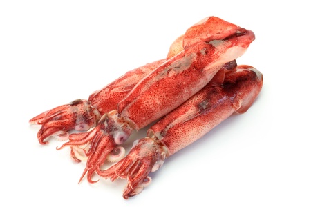 These are the cuttlefishs which I boiled.