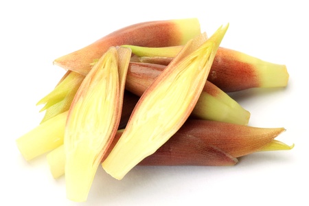 This is called myoga in Japanese herb の写真素材