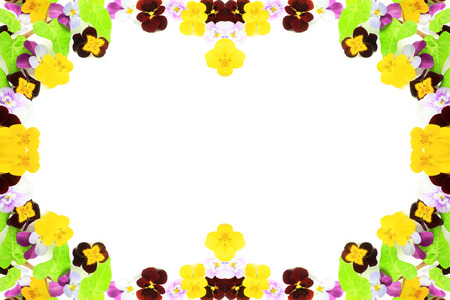 frame of flowerの写真素材