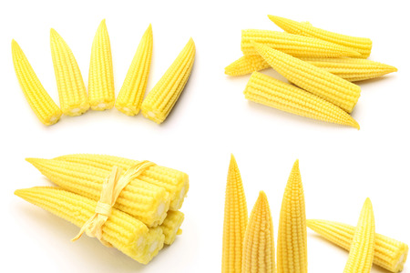 baby cornの写真素材