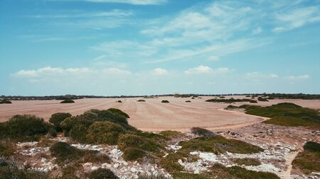 Hay Circles in field near playa des marmols, Mallorcaの写真素材
