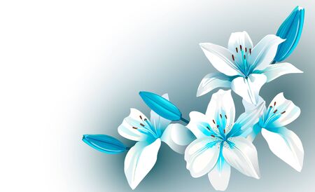 Vector illustration of white and blue colored flowers on gray background.のイラスト素材