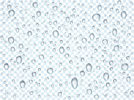 Water, rain, dew or splash shower drops isolated on transparent background. Pure droplets condensed on window glass surface template. Vector illustrationのイラスト素材