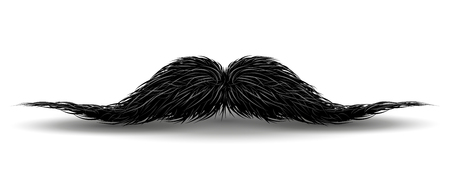 Charm mustaches for barbershop or Mustache Carnival. Mustache vintage facial, funny curly black mustache illustrationのイラスト素材