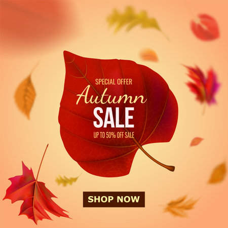 Autumn sale banner with falling autumn leaves and sale text.50 discount for promotions.Leaflet,invitation,flyer,cards with a special offer. Vector illustration.のイラスト素材