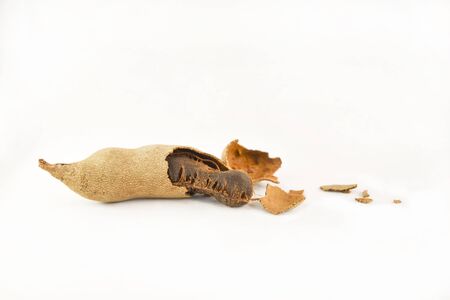 tamarind isolated on white backgroundの写真素材