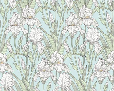 Vintage style pattern with white iris flowers. Elegant seamless pattern for your design and decoration
のイラスト素材