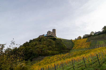Scenic view at Landshut castle in Bernkastel-Kues on the river Moselle in autumn with multi colored vineyardsのeditorial素材