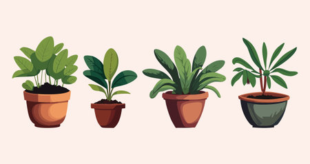 Simple vector illustration of decorative indoor plants in pots. Minimal botanical design suitable for UI elements, home decor graphics, and lifestyle illustrations.のイラスト素材