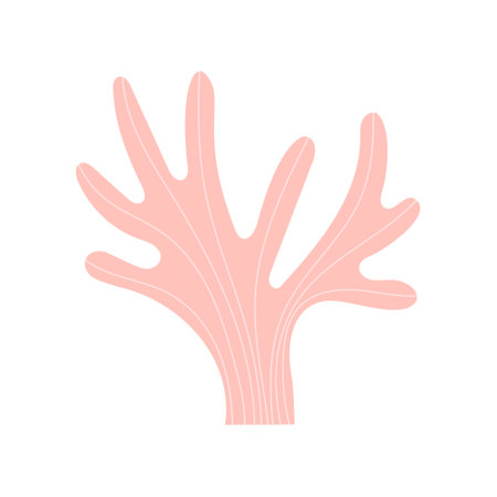 Cute hand drawn pink coral. Vector illustration.のイラスト素材