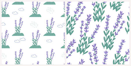 Lavender field seamless pattern set, flat vector illustration. Floral background with clouds and rain. Great for wrapping paper or textile print.のイラスト素材