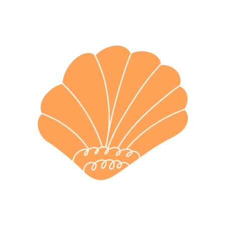 Sea shell hand drawn flat vector illustration isolated on white background. Underwater nature element. Concepts of holiday, vacation and marine life. Beautiful beach shell.のイラスト素材