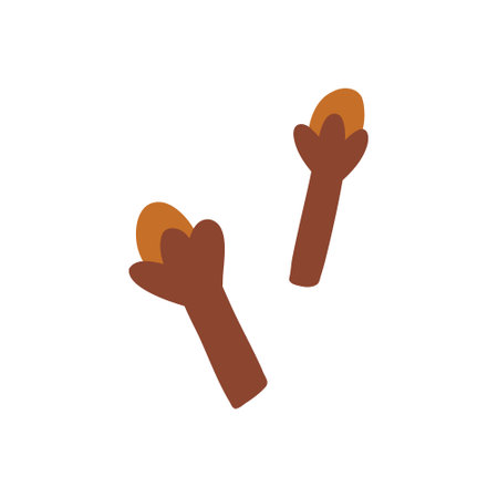 Hand drawn clove in cute cartoon flat style, vector illustration isolated on white background. Aromatic seasoning and condiment, cooking ingredient.のイラスト素材