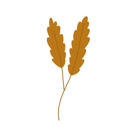 Wheat branch, cartoon flat vector illustration isolated on white background. Hand drawn plant. Concepts of crop, harvest, autumn nature.のイラスト素材