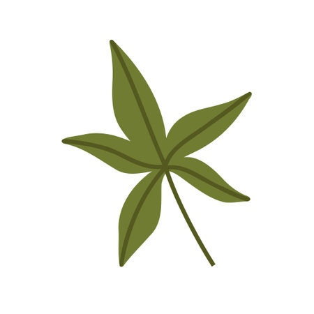 Cute hand drawn autumn leaf, cartoon flat vector illustration isolated on white background. Simple green fall leaf, nature design element.のイラスト素材