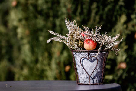 Flower arrangement in a pot with apple against a natural backgroundの写真素材