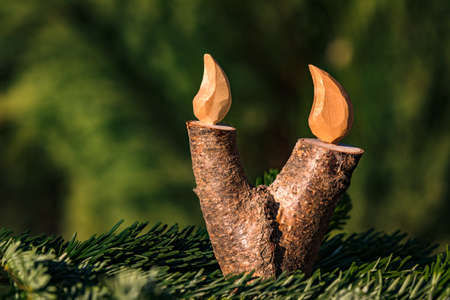 A Christmas candle with a flame made of wood in a fir branch isolated against a natural green backgroundの写真素材