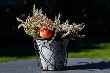 A flower arrangement with apple on a dark backgroundの写真素材