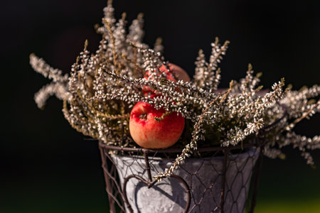 Ornate container with an apple in a bucket in close-upの写真素材