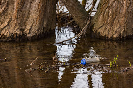 A discarded plastic bottle floats in a nature reserveの写真素材