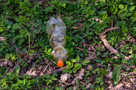 A discarded plastic bottle will not rot in the undergrowth of a forestの写真素材