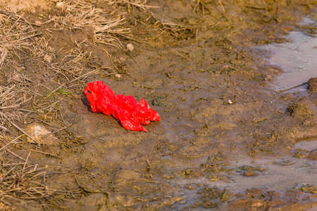 A carelessly discarded plastic bag pollutes the environment
