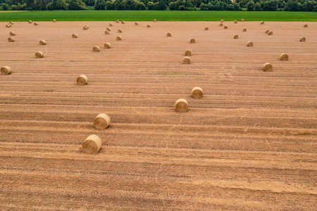 Aerial view of straw bales in a harvested field with a green strip of flowersの写真素材