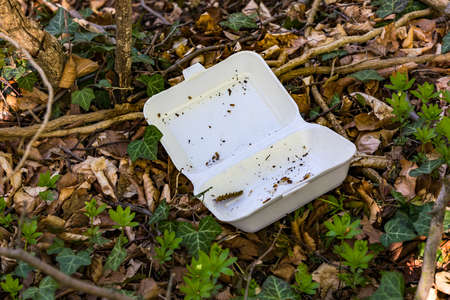 Pollution from throwing away a plastic takeaway containerの写真素材