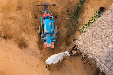 A small cattle farm, agricultural machinery and yard in Old Bagan in Myanmar as seen from the balloonの写真素材