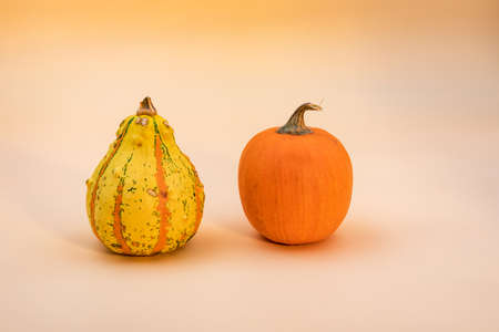 Two decorative pumpkins isolated against a beige backgroundの写真素材