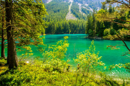 Green lake, Tragoess, Styriaの写真素材