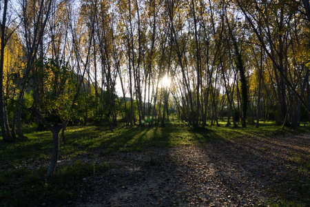 Barranc de l'Encantada, natural park located in the province of alicante, spain. Viewの写真素材