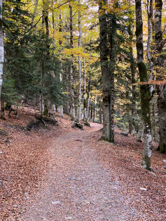 views of mountains, forests, waterfalls and natural pools in the Ordesa y Monte Perdido National...