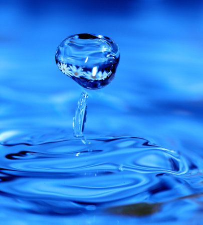 Drop with flowers