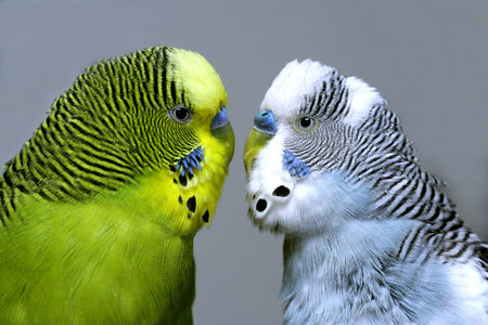 Friendsの写真素材