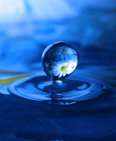 Blue drop with reflection of flowersの写真素材