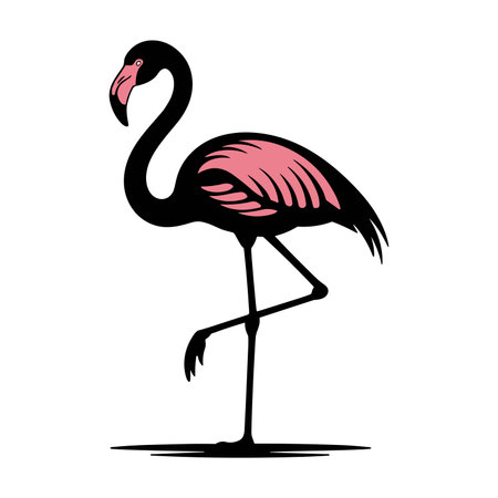 Flamingo isolated on white background. Vector illustration for your designのイラスト素材