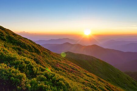 Amazing sunset in the mountains. The evening sun illuminates the slope, covered with blooming...