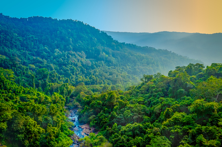 A stream flowing through green mountain range. Landscape from Maharashtra, India.の写真素材