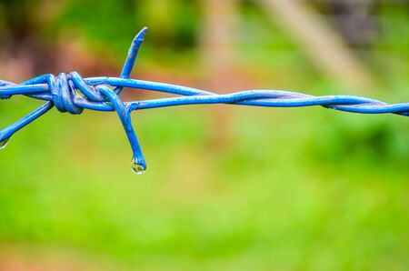 Clear Water drop on a wet blue barbed wire with green blurred backgroundの写真素材