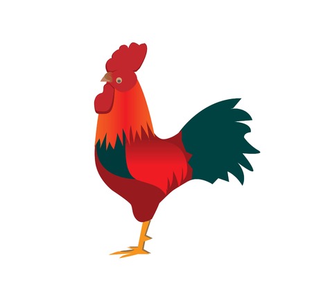 roosterのイラスト素材