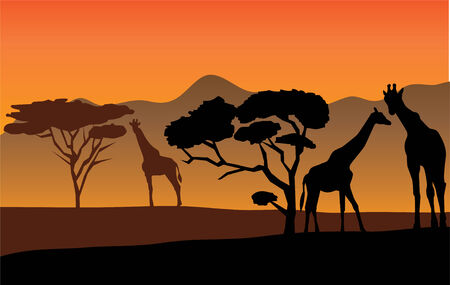 african landscape with giraffesのイラスト素材