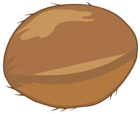 coconutのイラスト素材