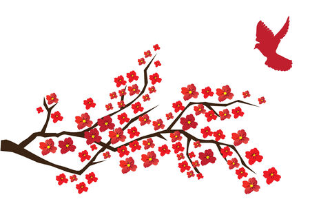 blossom branch with red doveのイラスト素材