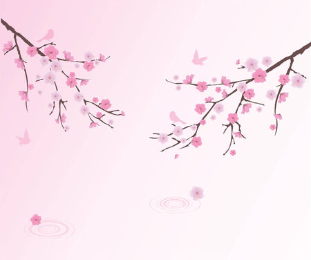 cherry blossom with birds and water circlesのイラスト素材