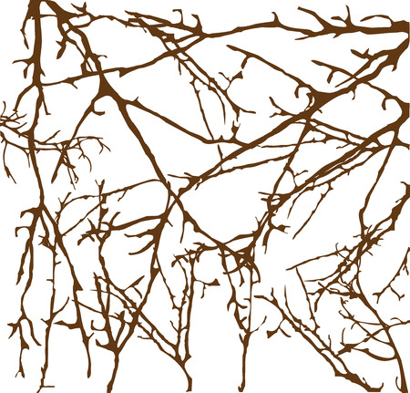 vector tree branches backgroundのイラスト素材