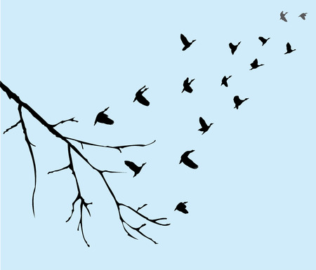 vector illustration of flying birds silhouettes with tree branchのイラスト素材