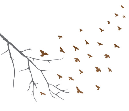 vector illustration of flying birds and tree branchのイラスト素材