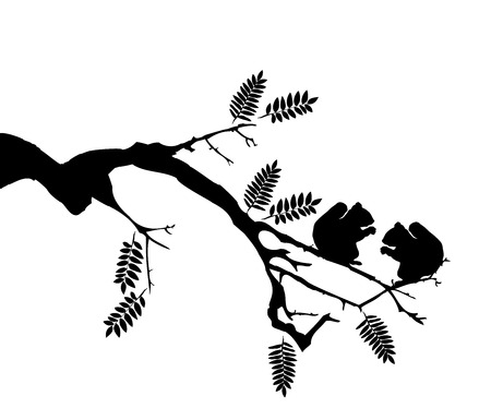 vector illustration of two squirrels in the treeのイラスト素材