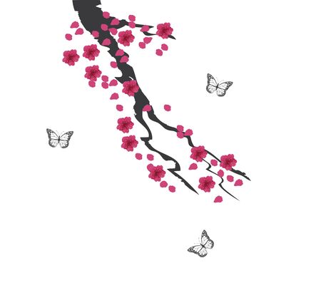 vector illustration of cherry blossom floral backgroundのイラスト素材